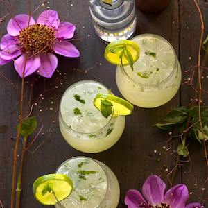 Subscriptions: The Gimlet Cocktail Box