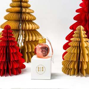 All Christmas Collection: Weekender Peach Gin Bauble