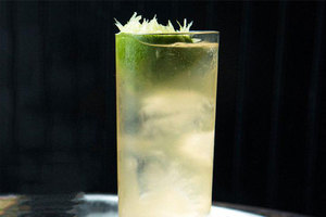 Products: Sacred Spring Barrel Aged Gin