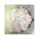 Coconut Chips Bulk 15kg - Coconut Oil