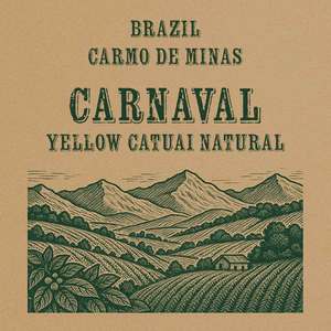 Products: Brazil Carnaval Yellow Catuai Natural Green Coffee Beans COFFEE TECH - Specialty Coffee Roasters