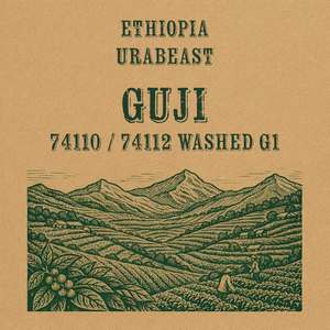 Urabeast Ethiopia Guji Washed G1 Green Coffee Beans COFFEE TECH - Specialty Coffee Roasters