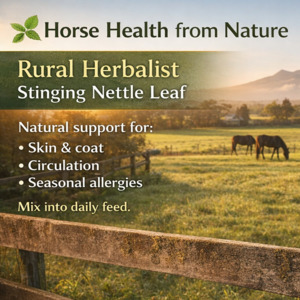 Allergies Seasonal: Nettle - Dried Cut