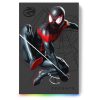 Limited Edition Spider-man MM 2TB Game Drive – coldPi.nz