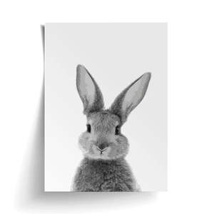 For Your Home: BUNNY FRONT PRINT