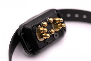 Specials: CPAD-013 Long Point Comfort Pad