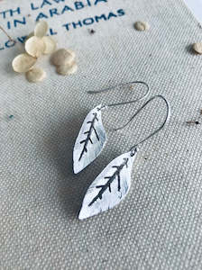 Earrings: Walnut Earrings - Silver