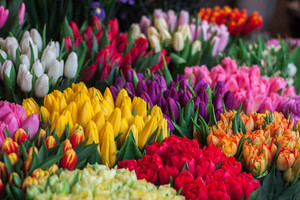 Products: Graduation Flowers Pre-Order (L) ColourCityStudio
