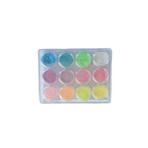 Sparkle Mica Powder 12 pc Set