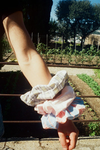 Nostalgia Gardening Ss25: Eva Scrunchie - Sage Gingham