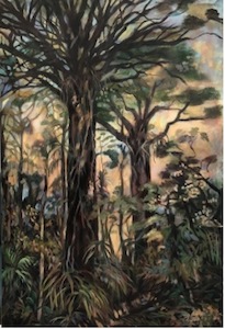 Products: Kauri trees