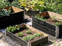 Home Garden D I Y: Raised Garden Bed from Pallets with Steve Rhodes on 7 June 2025