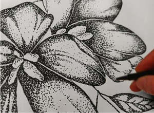 Arts Crafts: Botanical: Pen and Ink Stipple with Sandra Morris - Sunday 7 June 2026