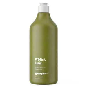 Personal Care Hair: Genyve Shampoo - P'mint 450ml
