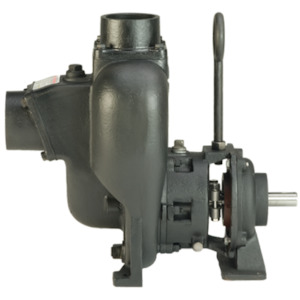 Banjo Bare Shaft Pedestal Pumps: Banjo 3 inch NPT(F) wet seal pedestal pump 1323 lpm 43.4 m head