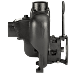 Banjo Bolt N Go Wet End Pumps: Banjo 301POIW Bolt-N-Go pump 3 inch cast iron (wet seal) Q type 1300 lpm 43 m head