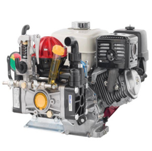 Annovi Reverberi AR50 diaphragm pump Honda GX200 5.5 hp 52 lpm 40 bar (580 psi)