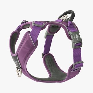 DOG Copenhagen Comfort Walk Pro Harness - Confident Canines