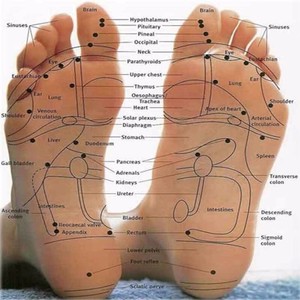 Products: 90 min Feet Reflexology - Book A Service Connect Healing