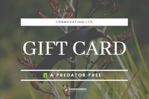 Connovation Gift Card: Connovation E-Gift Card