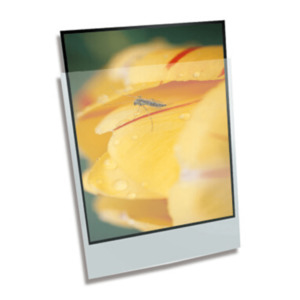 Polyethylene Enclosures: Polyethylene Enclosure - 22 x 30" 559mmx762mm