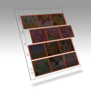 Polyethylene 120 Negative Page 4 Strips