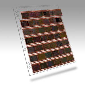 Polyethylene 35mm Negative Page 7 Strips