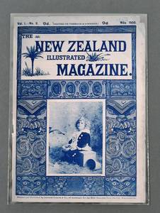 Polyester Enclosures: Polyester Enclosure - 8 x 10" 203mmx254mm