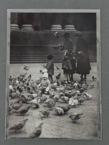 Polyester Enclosure - 5 x 7" 127mmx178mm