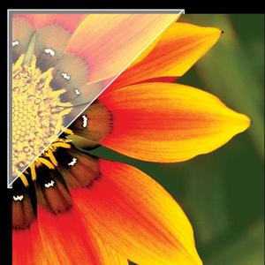 Photo Corners: Archival Polyester Mounting Corners