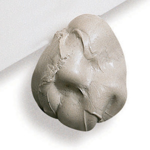 Cleaners: Groom Stick - Molecular trap for dry cleaning many surfaces