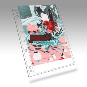 Polypropylene Enclosures Pages: Polypropylene Page Foolscap