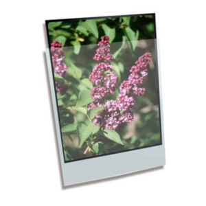 Polypropylene Enclosures Pages: Polypropylene Enclosure A3