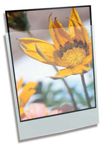 Polypropylene Enclosure - 11 x 17" 280mmx432mm