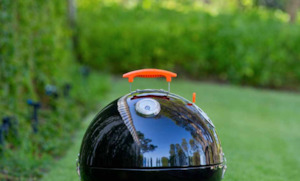 ProQ Lid Assembly - Ranger