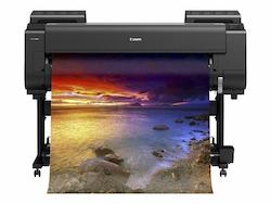 Bc All: Poster Prints