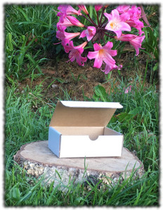 Die Cut Rectangle Box - 150x112x56mm 10 Pack