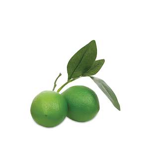 Outdoor: Pair of Limes