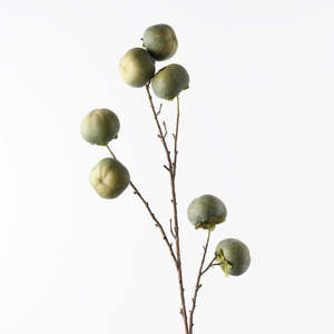 Outdoor: Persimmon Spray