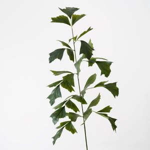 Outdoor: Palm Fishtail Spray