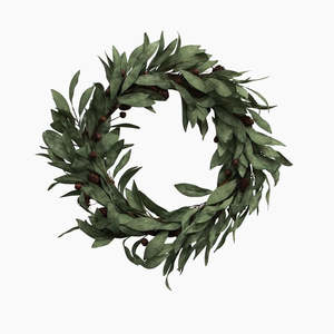 Christmas: Wreath / Eucalyptus & Brown Wood Berry