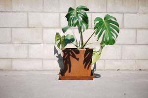 Frontpage: Tapered planter with tray