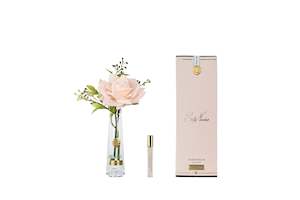 Rose Buds: ** NEW ** Summer Rose Champagne - Gold Badge - SRG18