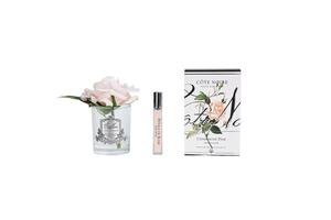 Perfumed Flowers: NEW - Cote Noire Natural Touch Single Rose - Clear - Champagne Pink - GMR15
