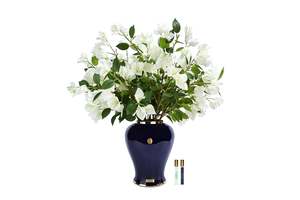 View All Flowers: NEW - Cote Noire - Imperial Bougainvillea - Indigo Urn with White - IMPB01