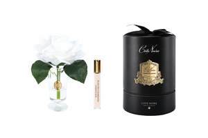 NEW - Cote Noire - Charente Rose in Ivory White - Gold/Black Box - CHR01