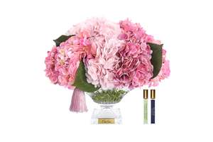 NEW - Cote Noire - Bordeaux Pink Hydrangeas - BCH02