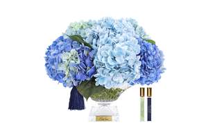 NEW - Cote Noire - Bordeaux Blue Hydrangeas - BCH03