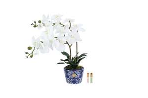 View All Flowers: NEW Cote Noire - Double Orchid - Chinoiserie / White - DOC01