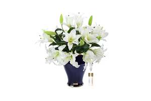 View All Flowers: Cote Noire - Imperial Lilies - White Indigo - IMPL11
